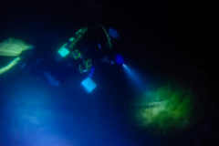 AB5DD76F-61D7-4077-87CE-AD3E9F7A60D3