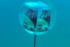 E6479FD8-60E5-4C34-914E-E6DC68FF76B0